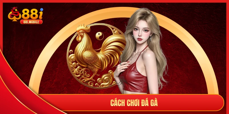 cách chơi đá gà